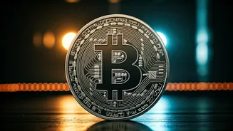 Bitcoin's Ascent: Navigating the Crypto Landscape