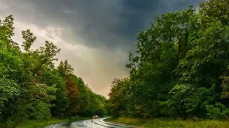 This Week's Rain-Alert Update: Covered Pick-Ups and Flexible Check-In Now Shape Rain-Affected Trip Planning