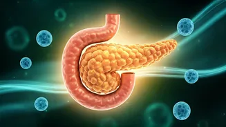 Reversing Insulin Resistance: Key Physical Signs Your Body is Healing