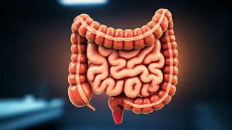 Conquering Colon Cancer: Early Detection & Prevention