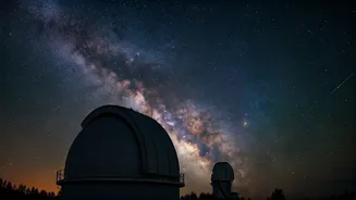 Related Stories banner