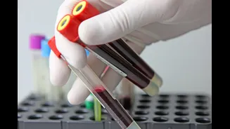 Seu sangue pode revelar doenças antes dos sintomas? Descubra