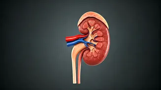 Kidney Diet Mistakes Unveiled: 5 Common Pitfalls & Expert Advice