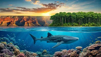 Unveiling Earth's Natural Marvels: From Grand Canyons to Rainforests & Ocean Giants