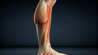 Unlock Your Potential: 5 Astonishing Daily Benefits of Calf Raises