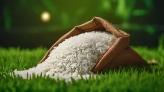 The Latest Bharat Atta and Rice Release Reframes Bharat Atta and Rice Comparison around Pack Size