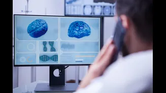 Cientistas descobrem como regenerar neurônios danificados no cérebro