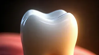 Protect Your Teeth Enamel For A Healthy Smile
