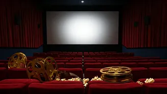 Bollywood Box Office Buzz: Hits, Misses & Rising Stars!