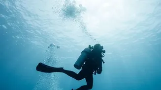 How Scientists Study The Deep Ocean And Its Climate Role