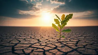 This Investment Habit Rewards Patience