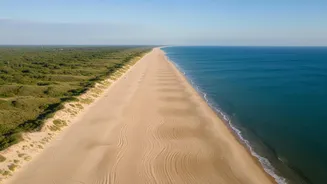 How NISAR's Daily Radar Image Release Helps Scientists Study Coastal Change
