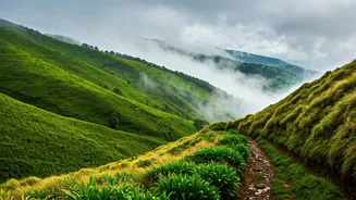 The Best Misty Western Ghats Getaways For Spontaneous Trips