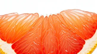 5 Tips for a Healthier You: Simple Steps to Wellness