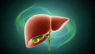 Related Stories banner