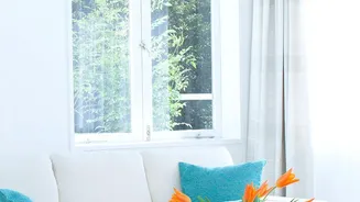 The Most Important Mould Prevention Step Is Controlling Excess Moisture