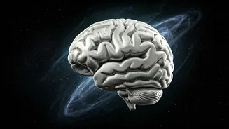 Boltzmann Brains: Physicists Rethink Memory and Reality with a Thought Experiment