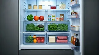 Fridge Smarts: Store Food Wisely for Peak Freshness & Less Waste