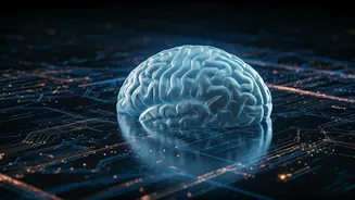 Beyond a Tool: How AI is Reshaping Your Perception of Reality