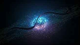 AI Distillation Attacks: The Stealthy Threat Stealing AI Secrets