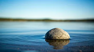 Stay Calm: 5 Tips for Handling Provocative People