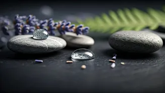 Wellness Routines Are Learning To Chill Properly