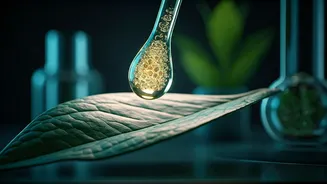 Why Tech-Savvy Indian Consumers Invest In Bio-Engineered Botanical Serums