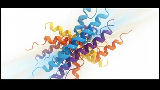 Early Protein Research Should Not Become Another Weight-Loss Shortcut Story