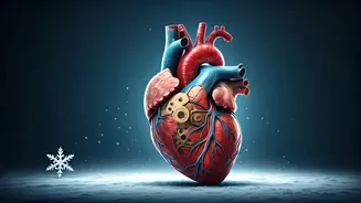 Snow Shovelling Dangers: How to Avoid Heart Attacks in the Cold