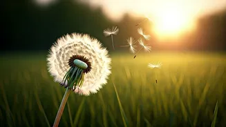 5 Inspiring Quotes to Boost Your Child's Confidence and Self-Belief