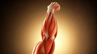 Related Stories banner