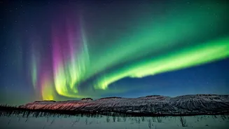 Aurora Alert: Northern Lights Forecast for the US