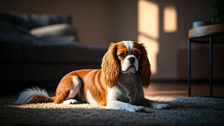 Related Stories banner