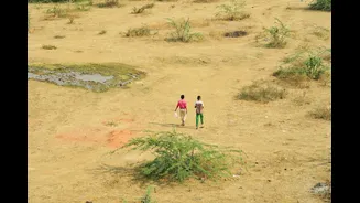 India's Heat Hotspots Expanding, Study Reveals