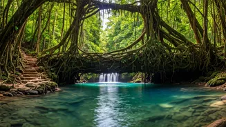 Why Meghalaya Nature Travel Is Absolute Bucket List Target