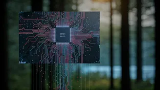 Decoding Digital Burnout: Protecting Your Mind