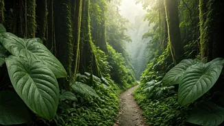 Monsoon Trips Are Becoming The Anti-Peak Escape