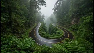 Ultimate driving guide for Western Ghats monsoon road trips available for travellers