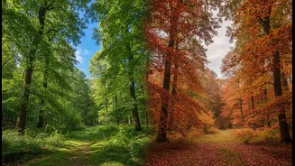 Climate-Aware Travellers Are Comparing Seasons More Closely Before Booking