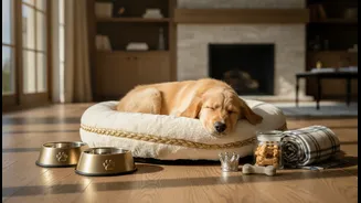 India's Premium Pet Economy: the facts, practical impact and remaining questions