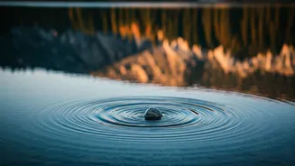 Related Stories banner