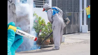Delhi-NCR Sees Sharp Rise In H1N1 And Dengue Cases: What Doctors Are Warning About