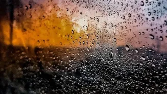 From Dhanushkodi to Doddabetta: Eight Rainy Stops in Southern India