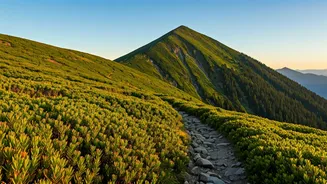 Almaty Mountain Hiking Trails Witness Surging Interest From Youth