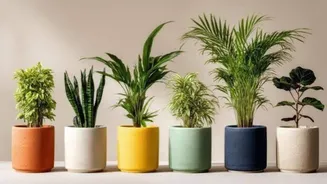 How to style indoor plants with ceramic planters