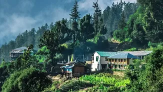 India’s Post-Monsoon Window Brings Fresh Ideas For Nature-Focused Getaways
