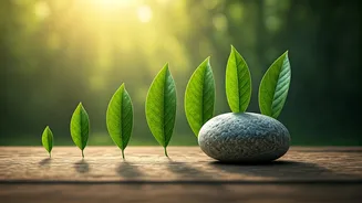 Related Stories banner