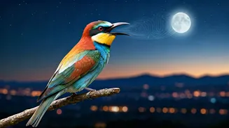 Nighttime Chirps: Unraveling the Mystery Behind Birds' Midnight Melodies