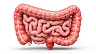 Walnuts Boost Gut Health, Improve Your Skin