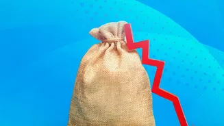 Market Falls Can Make Fixed Mutual Fund Withdrawals More Costly: What The Evidence Supports